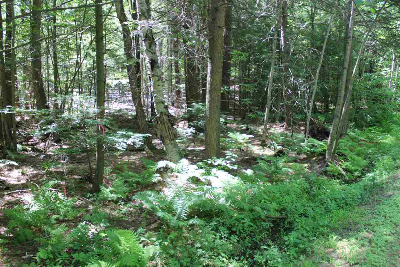 0 Locust Hill Road Guilford, VT 05301 - Photo 3 of 4