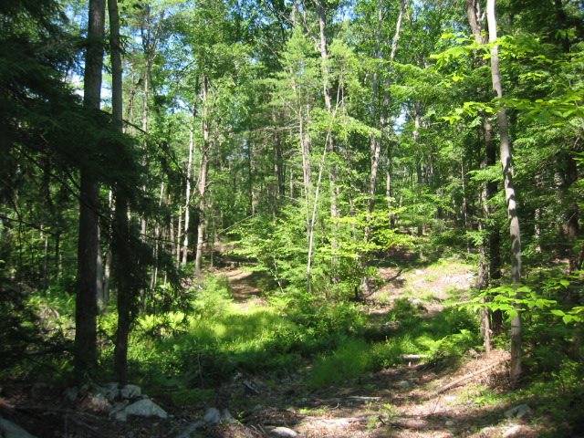 0 Locust Hill Road Guilford, VT 05301 - Photo 4 of 4