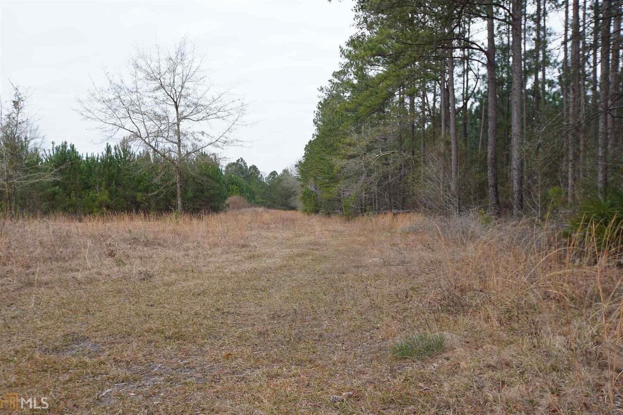 0 Coursey Pl Road Ellabell, GA 31308 - Photo 1 of 1 Gallery Image 1