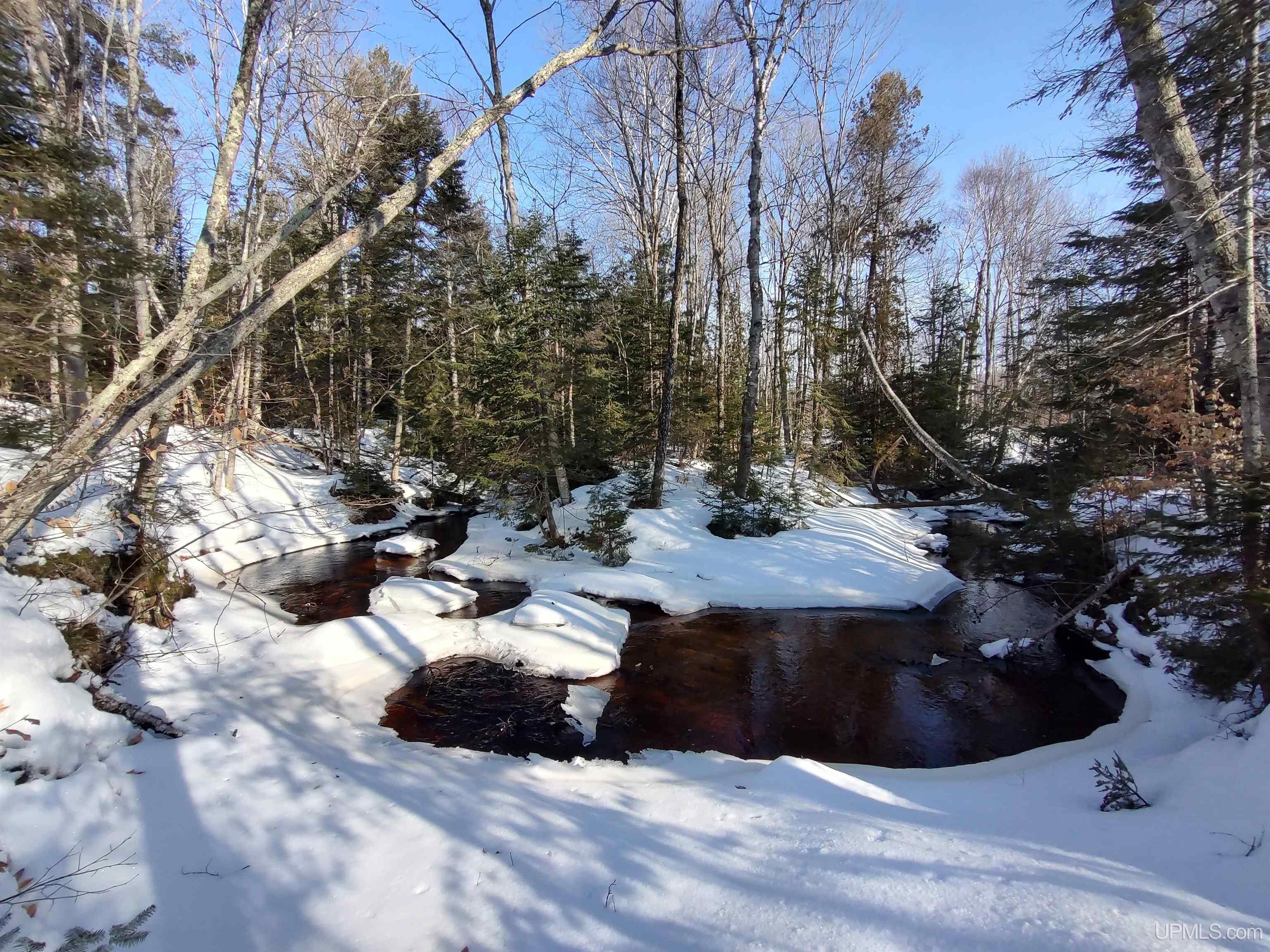 40-acres Gierke Road Manistique, MI 49854 - Photo 3 of 39