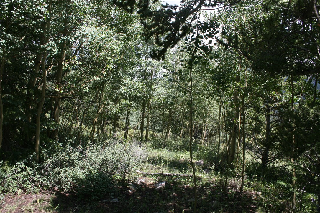 Tbd Quartzville Road Alma, CO 80420 - Photo 10 of 13 Gallery Image 10