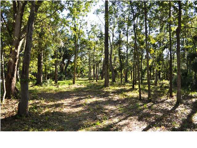 3440 Henrietta Hartford Road Mount Pleasant, SC 29466 - Photo 14 of 15 Additional Photo
