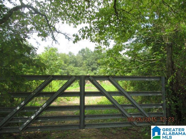 9985 Bill Jones Road Kimberly, AL 35091 - Photo 13 of 15