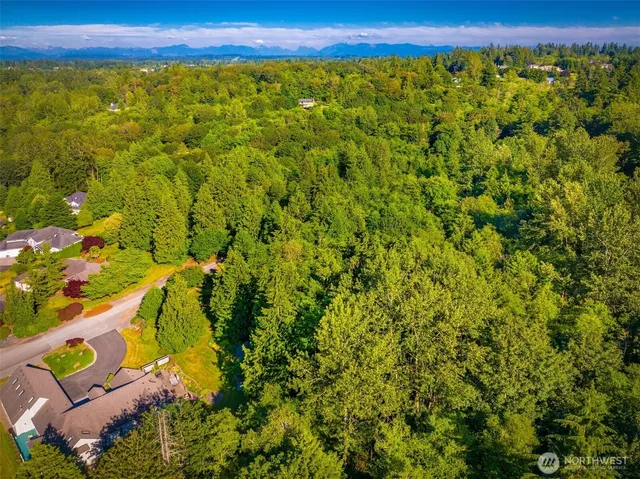 a view of an ocean and beach