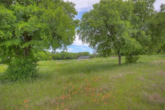 a view of a garden with a lake
