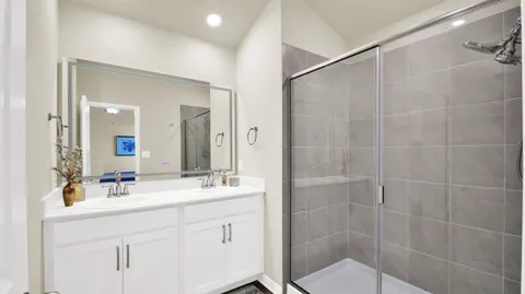 a bathroom with a shower sink vanity and a mirror