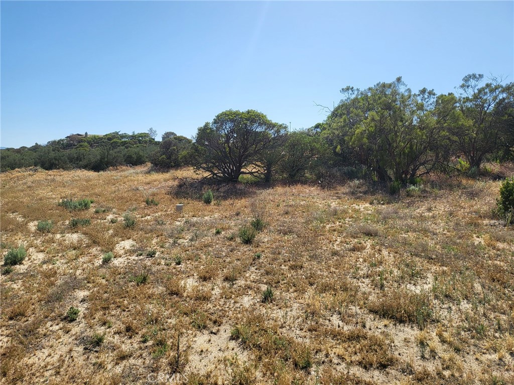 887 Forest Springs Road Aguanga, CA 92536 - Photo 2 of 35 a view of a dry yard