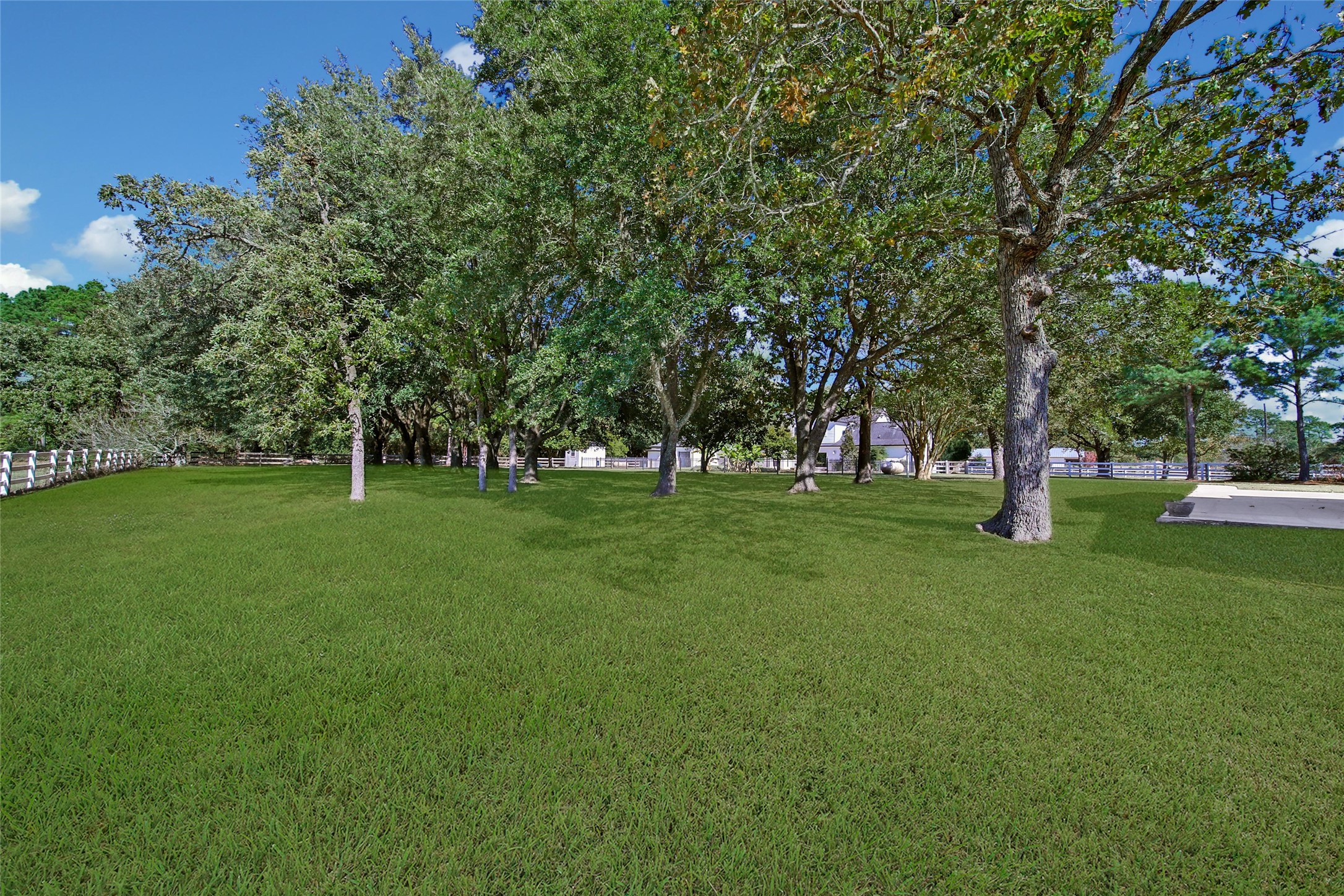 29919 Tudor Way Magnolia, TX 77355 - Photo 48 of 50 View of the acreage