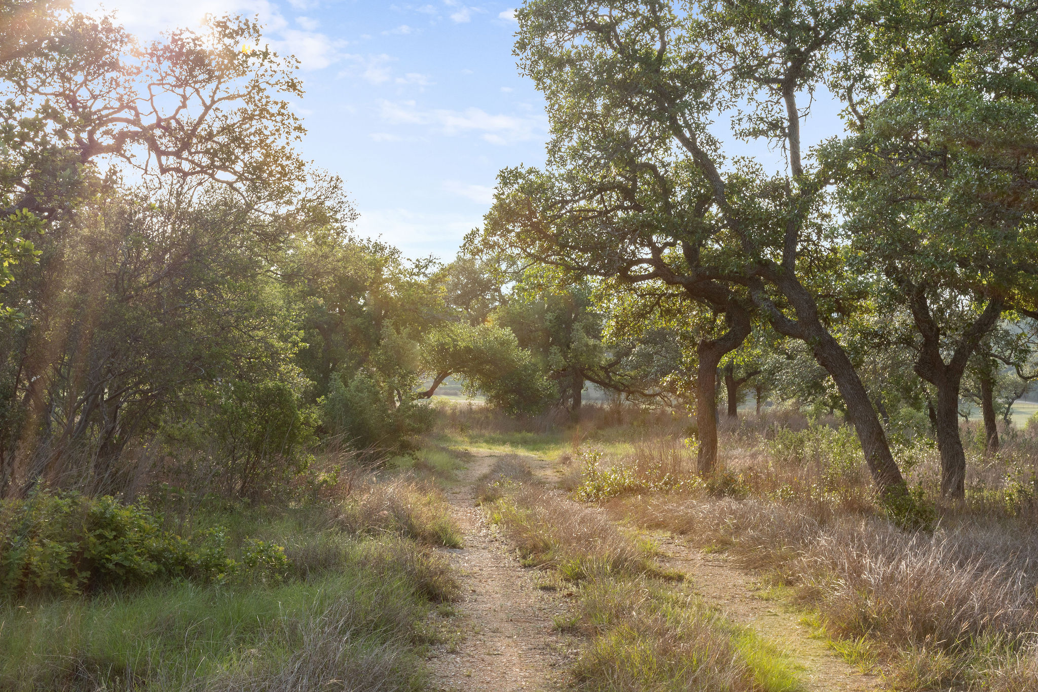 103-205 Mount Gainor Road Dripping Springs, TX 78620 - Photo 12 of 40 205 Mount Gainor