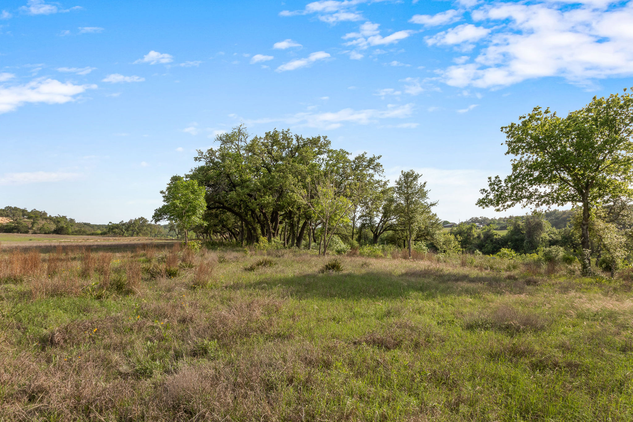 103-205 Mount Gainor Road Dripping Springs, TX 78620 - Photo 29 of 40 103 Mount Gainor