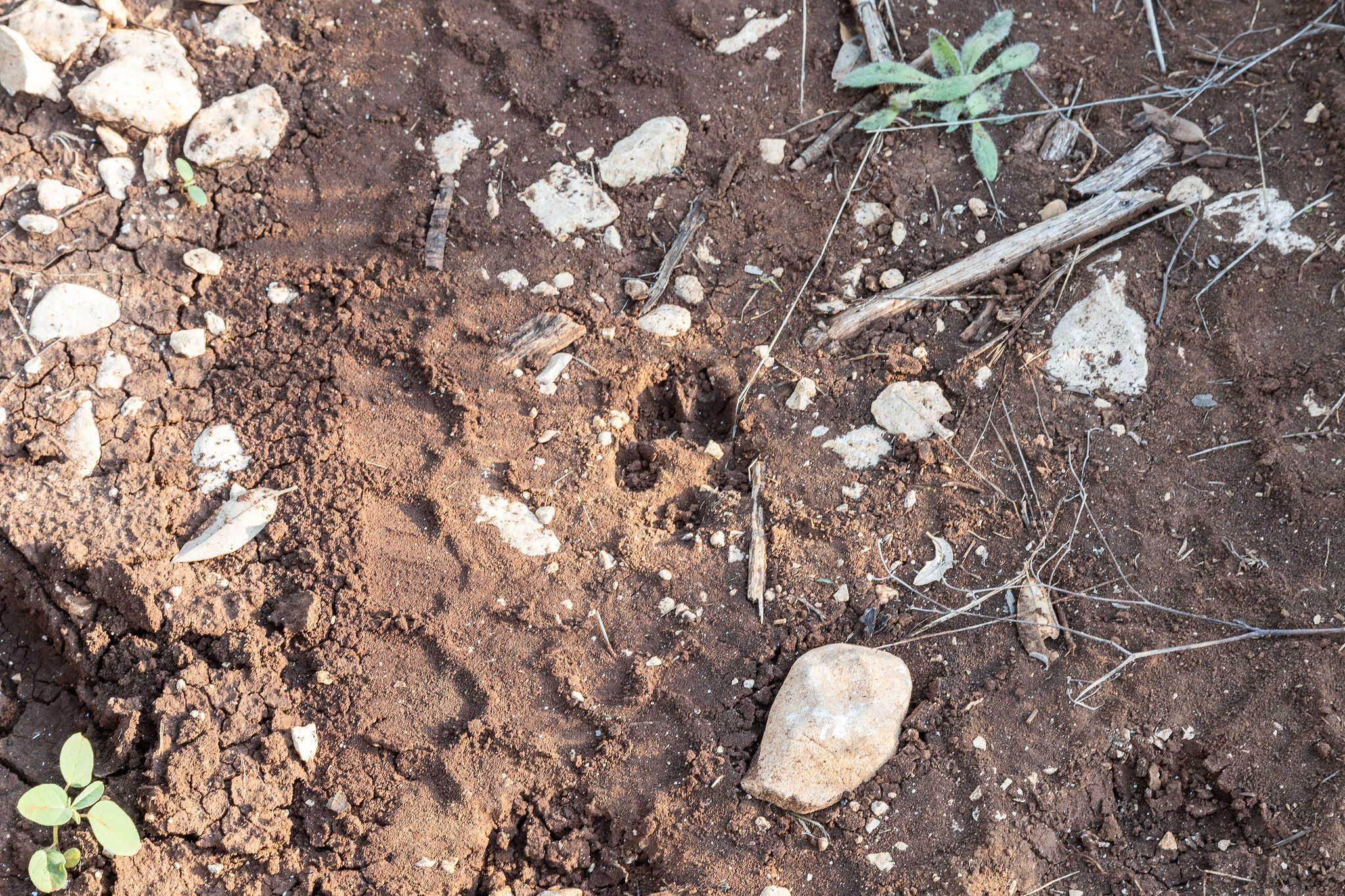 103-205 Mount Gainor Road Dripping Springs, TX 78620 - Photo 34 of 40 103 Mount Gainor