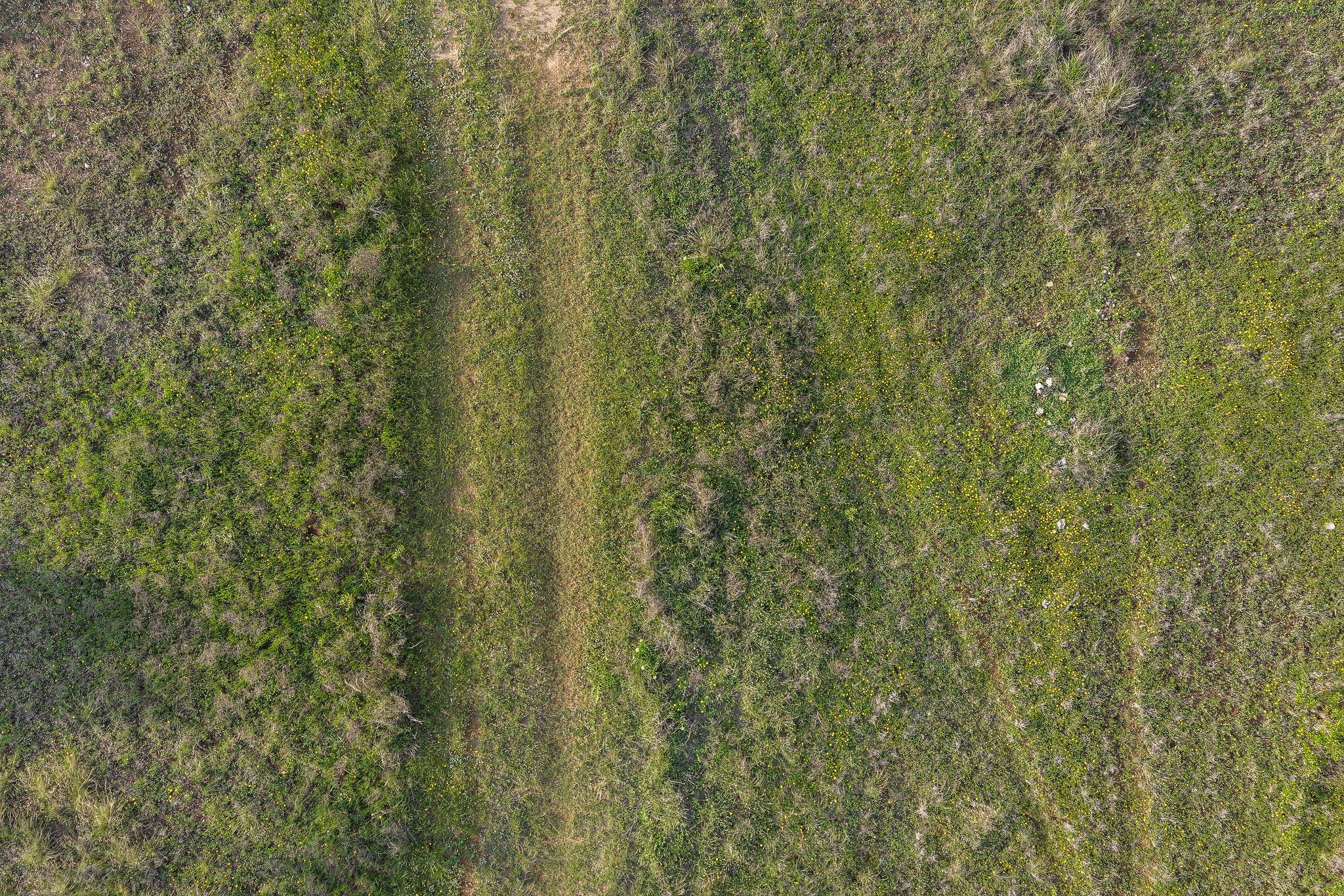 103-205 Mount Gainor Road Dripping Springs, TX 78620 - Photo 35 of 40 103 Mount Gainor