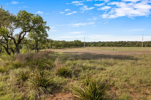 a view of a field with an trees