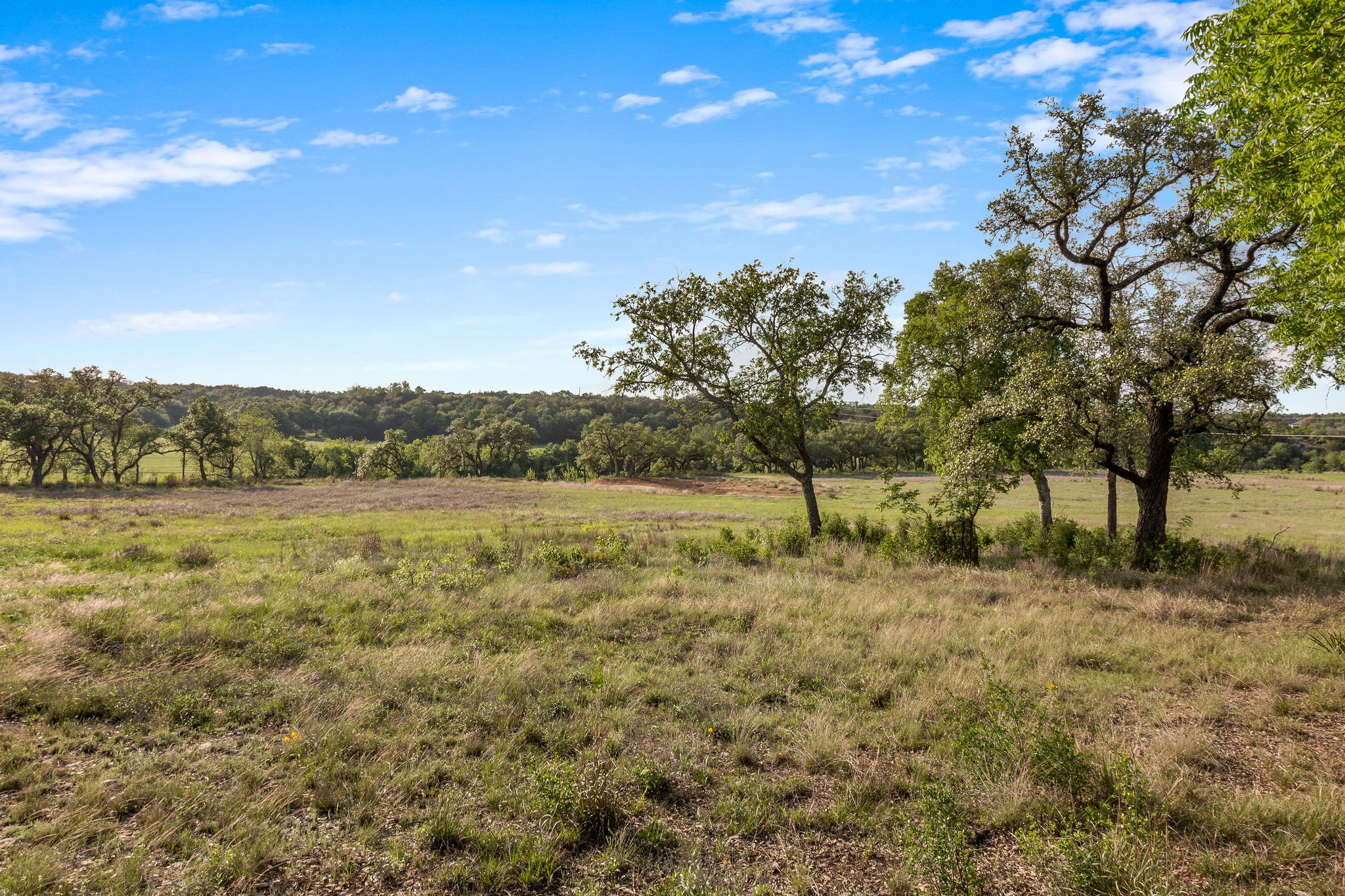 103-205 Mount Gainor Road Dripping Springs, TX 78620 - Photo 38 of 40 103 Mount Gainor