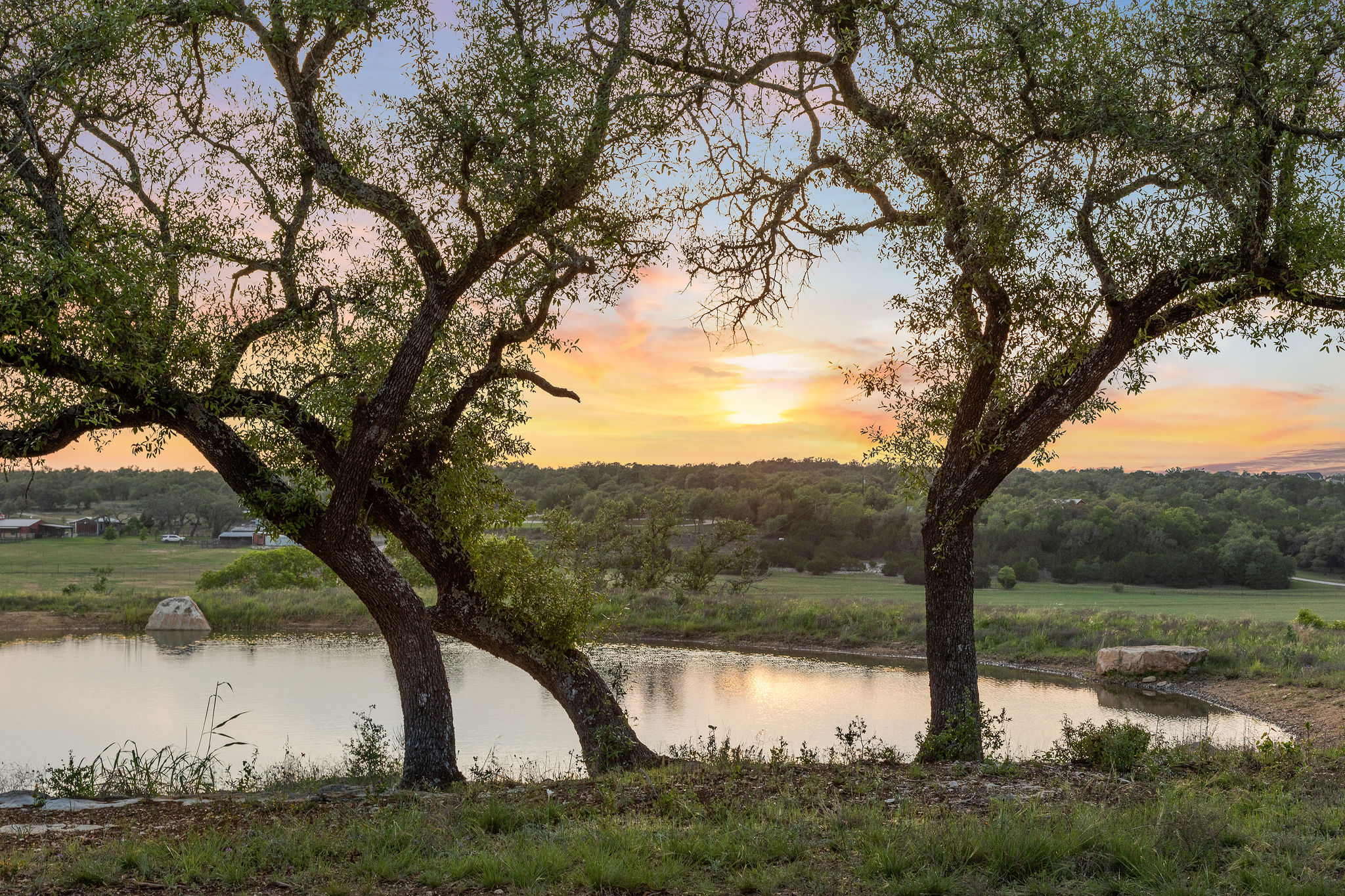 103-205 Mount Gainor Road Dripping Springs, TX 78620 - Photo 9 of 40 205 Mount Gainor