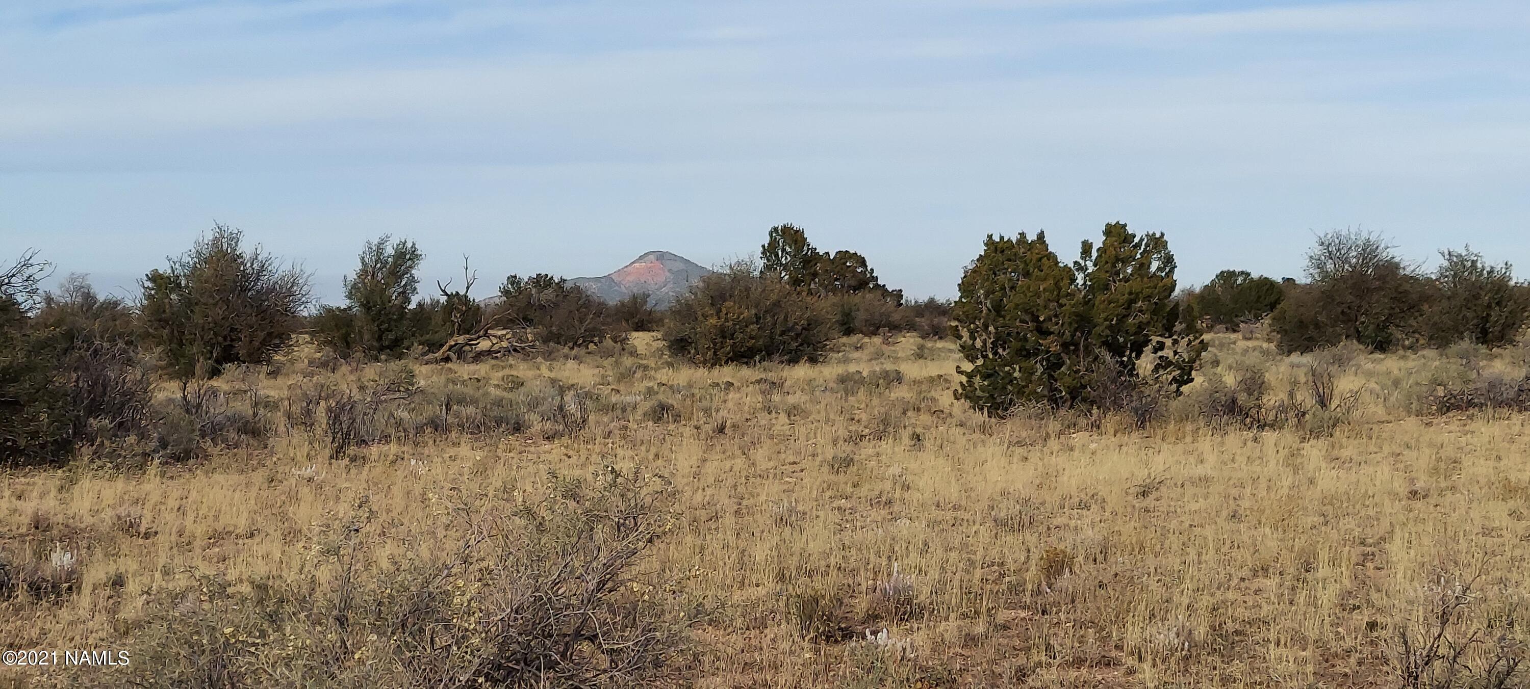 1910 Red Butte Road Williams, AZ 86046 - Photo 15 of 30 20211119_143821