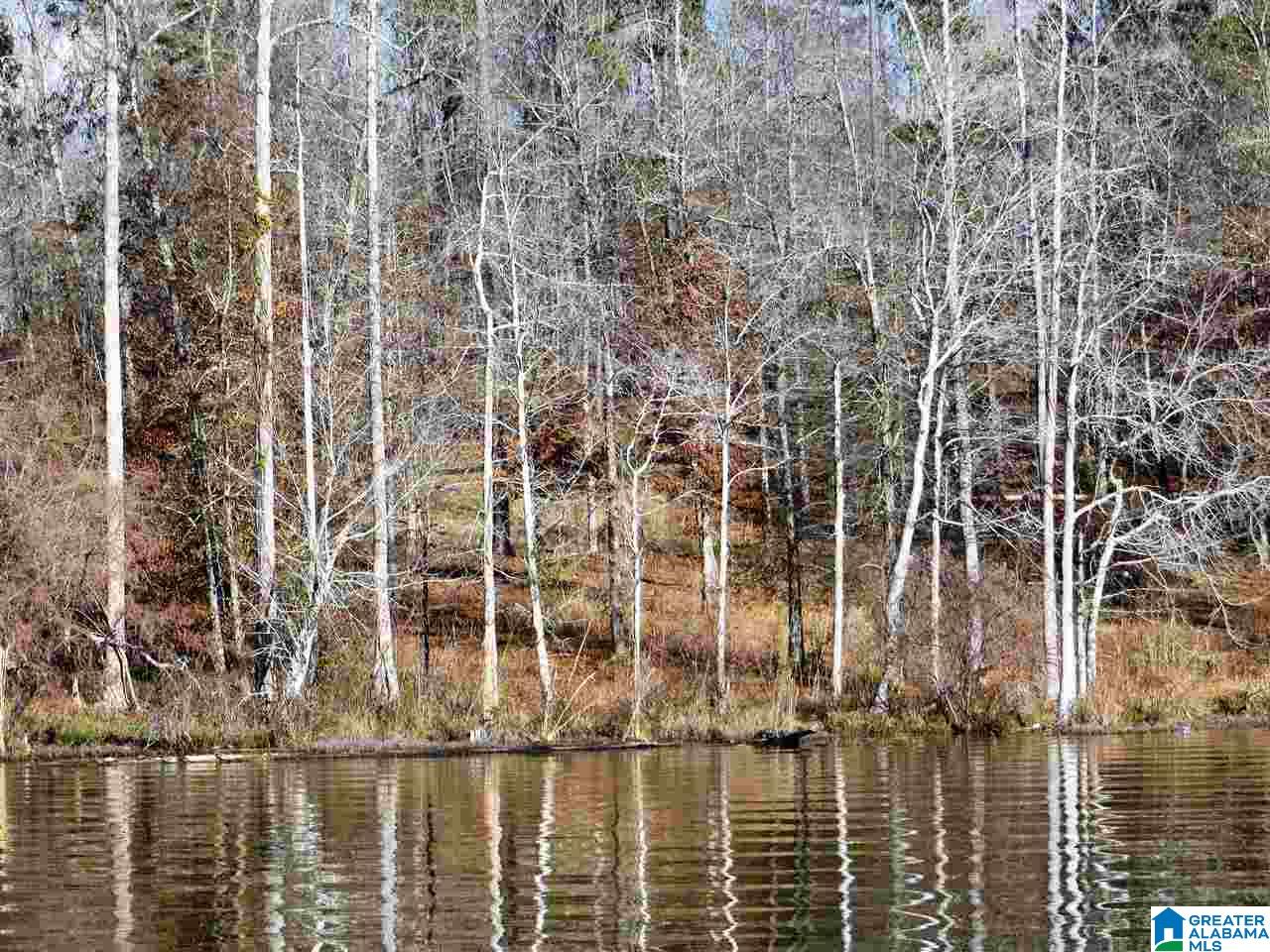 Lot 12 Eagle Mountain Road, Unit 12 Alexander City, AL 35010 - Photo 6 of 7