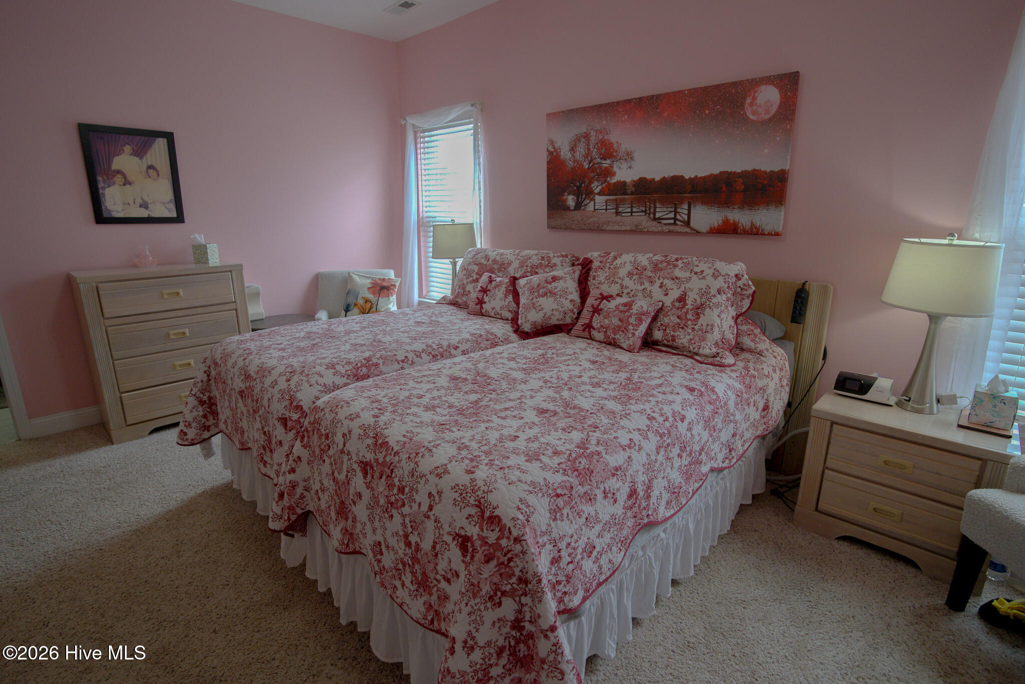 226 Channel Marker Loop Swansboro, NC 28584 - Photo 14 of 23 DSC07749.ARW