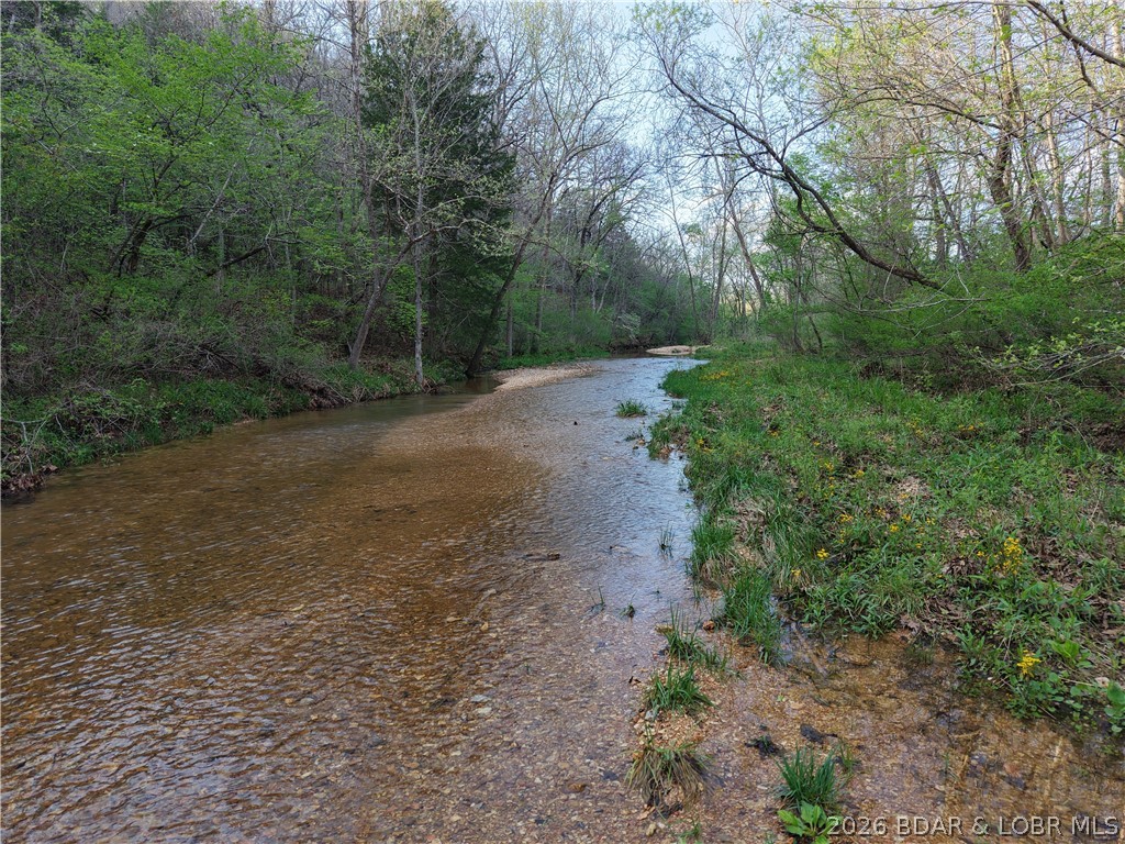 29740 Proctor Road Gravois Mills, MO 65037 - Photo 46 of 50