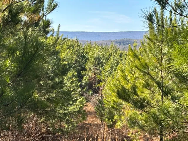 $873,000 | 0 Dividing Ridge Road, Evensville, TN 37332