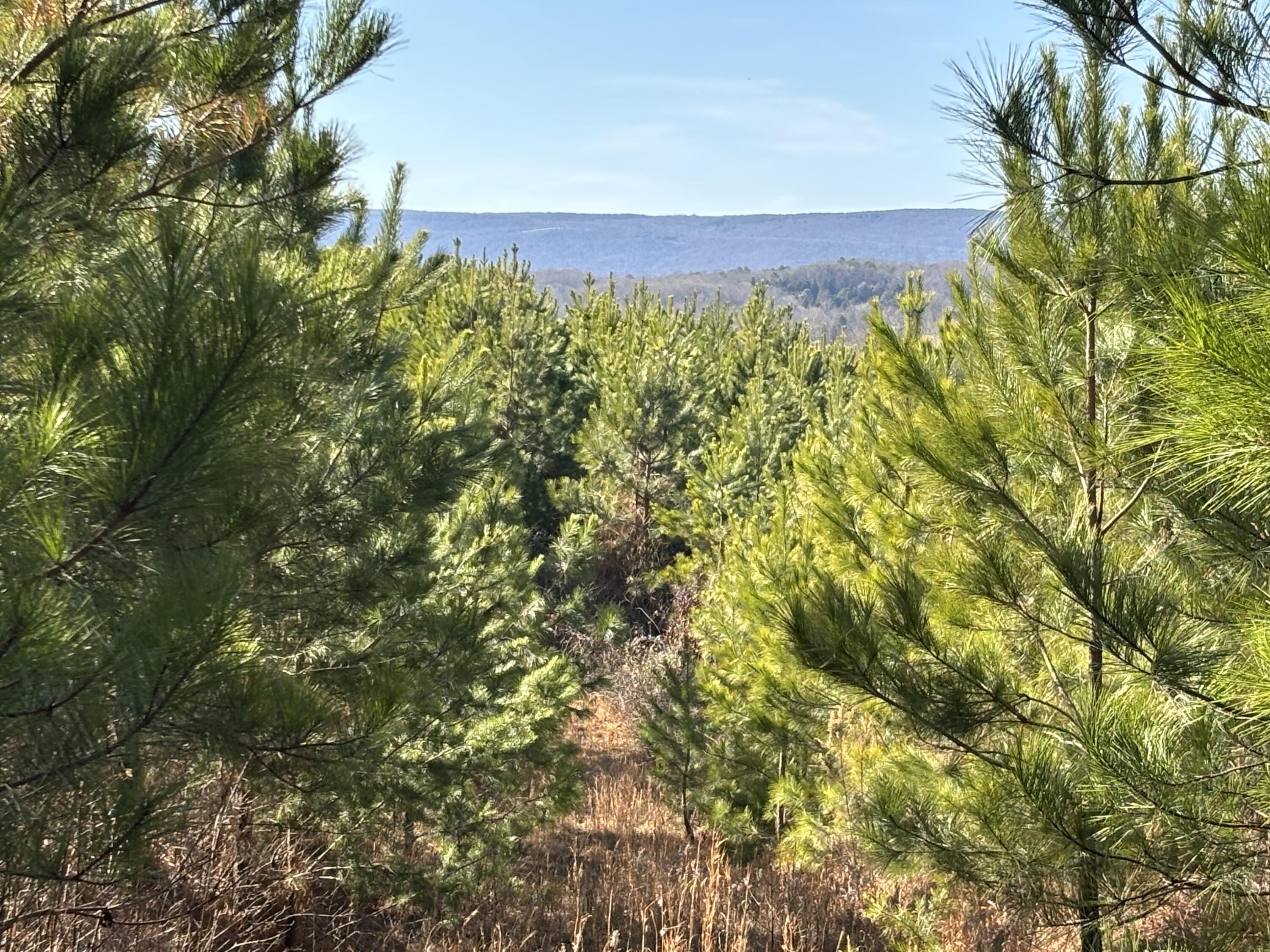 Photo Jan 29 2025, 2 34 25 PM