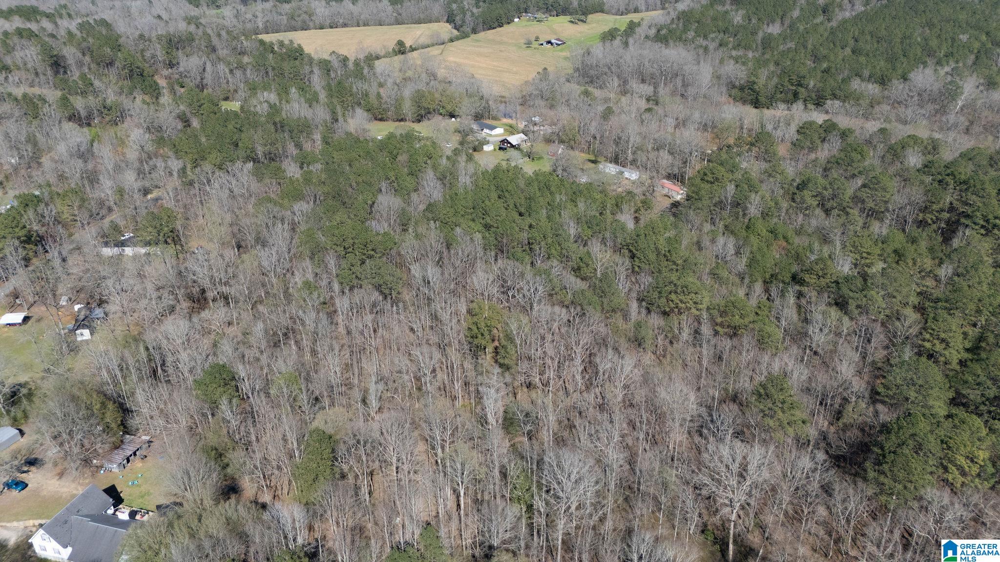 29 North Northview Circle, Unit 29 Northport, AL 35475 - Photo 13 of 16