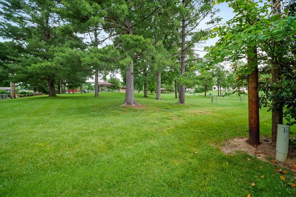 113 Roland Avenue Ballwin, MO 63021 - Photo 40 of 47