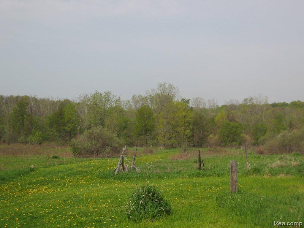 3198 Rochester Road Dryden, MI 48428 - Photo 15 of 15 IMG_5687