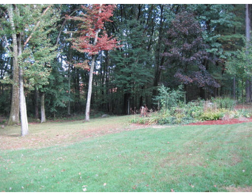 20 Pinewood Road Chelmsford, MA 01824 - Photo 15 of 15 a view of a backyard with a fountain