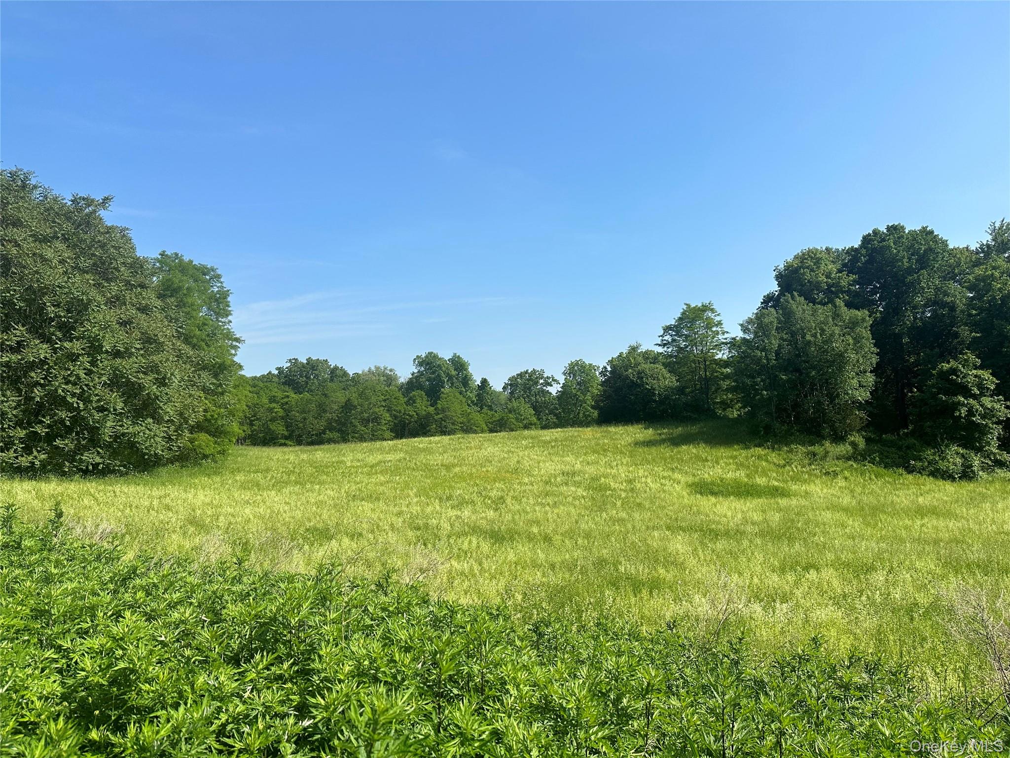 Off Pleasant Vale Road Tivoli, NY 12583 - Photo 4 of 7 Gallery Image 4
