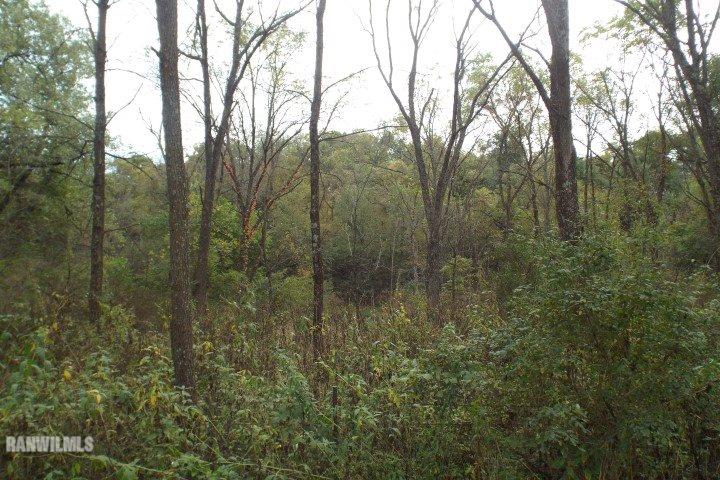 South Apple River Road Stockton, IL 61085 - Photo 8 of 14 Gallery Image 8