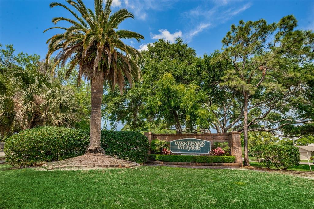 520 Sandy Hook Road Palm Harbor, FL 34683 - Photo 53 of 76
