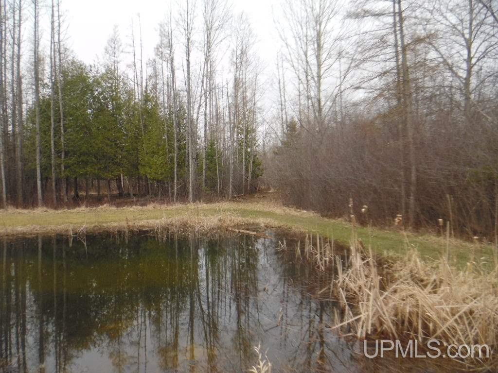 5511 G5 Road Escanaba, MI 49829 - Photo 25 of 30