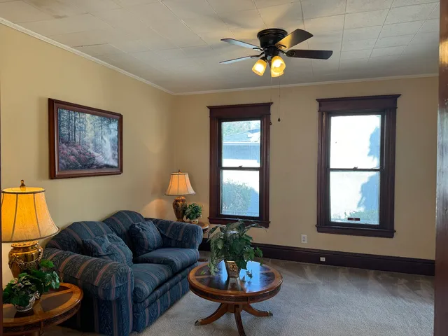 a living room with furniture and a potted plant