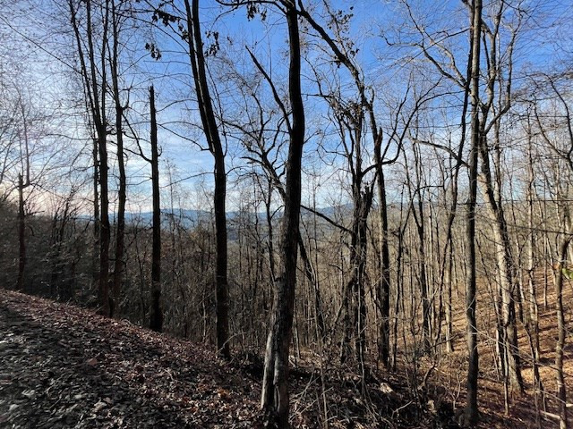 Lot 73 Hidden Treasure Murphy, NC 28906 - Photo 11 of 26