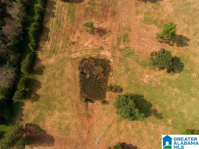 0 Stone Ridge Trail, Unit 50 87 Anniston, AL 36207 - Photo 3 of 15