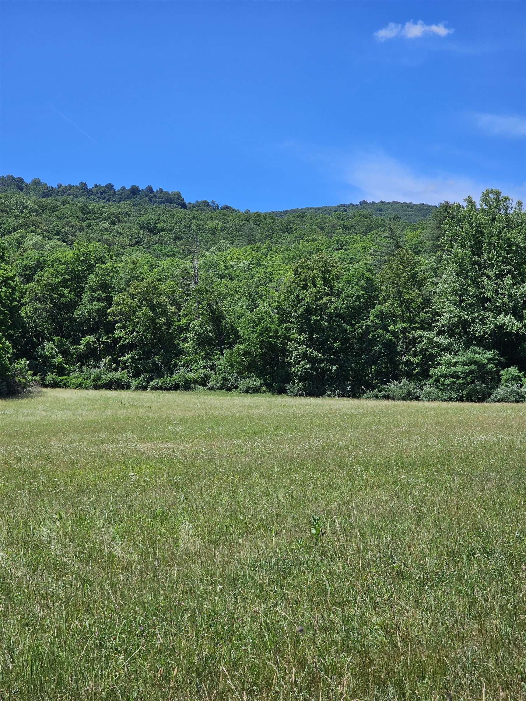 2105 Coles Mountain Road Covington, VA 24426 - Photo 51 of 66