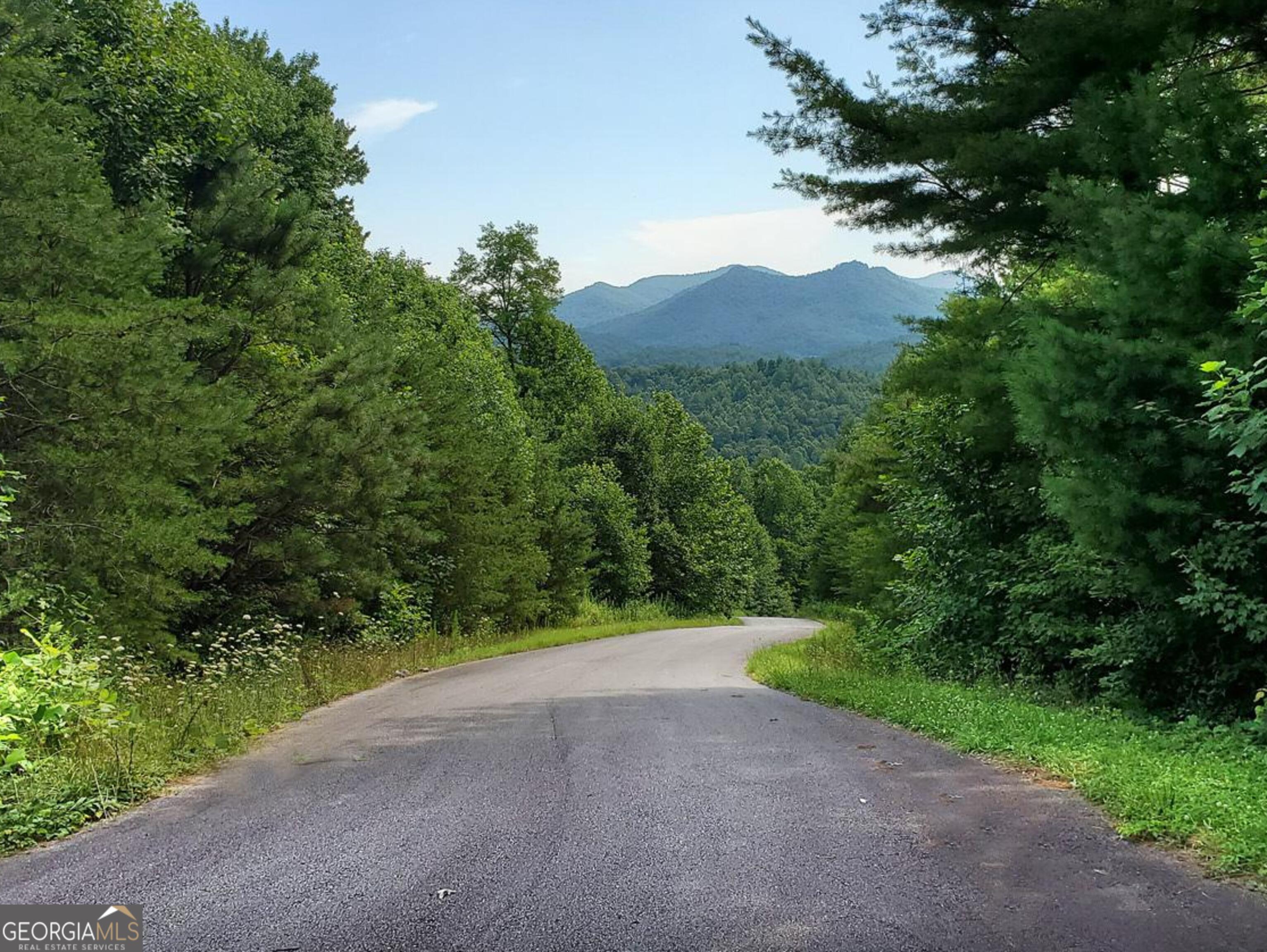 0 Shake Hollow Drive Rabun Gap, GA 30568 - Photo 2 of 5