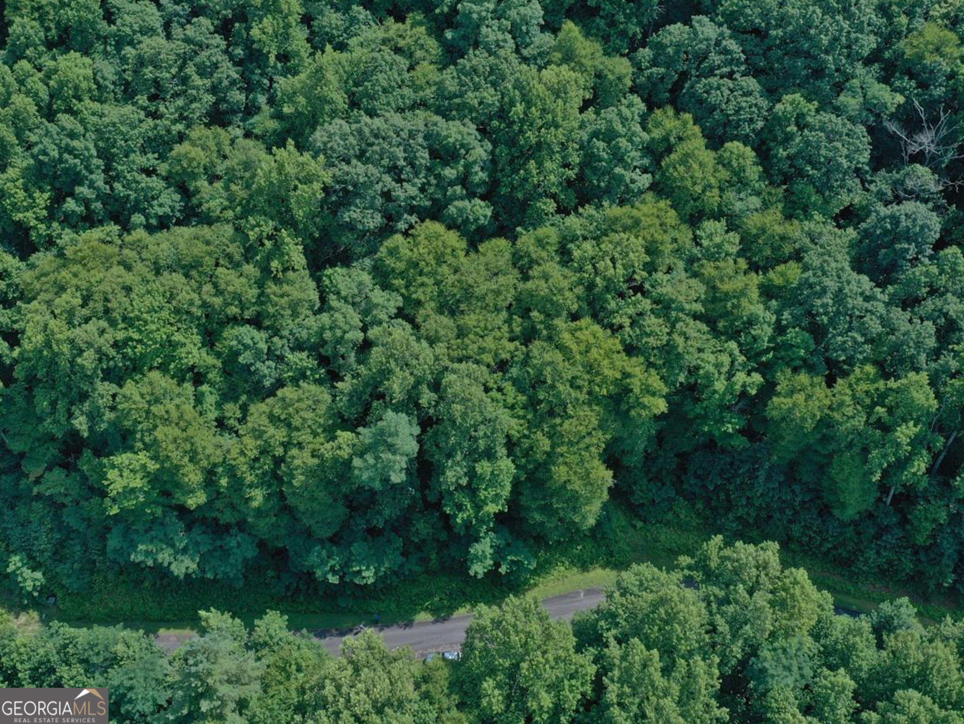 0 Shake Hollow Drive Rabun Gap, GA 30568 - Photo 3 of 5