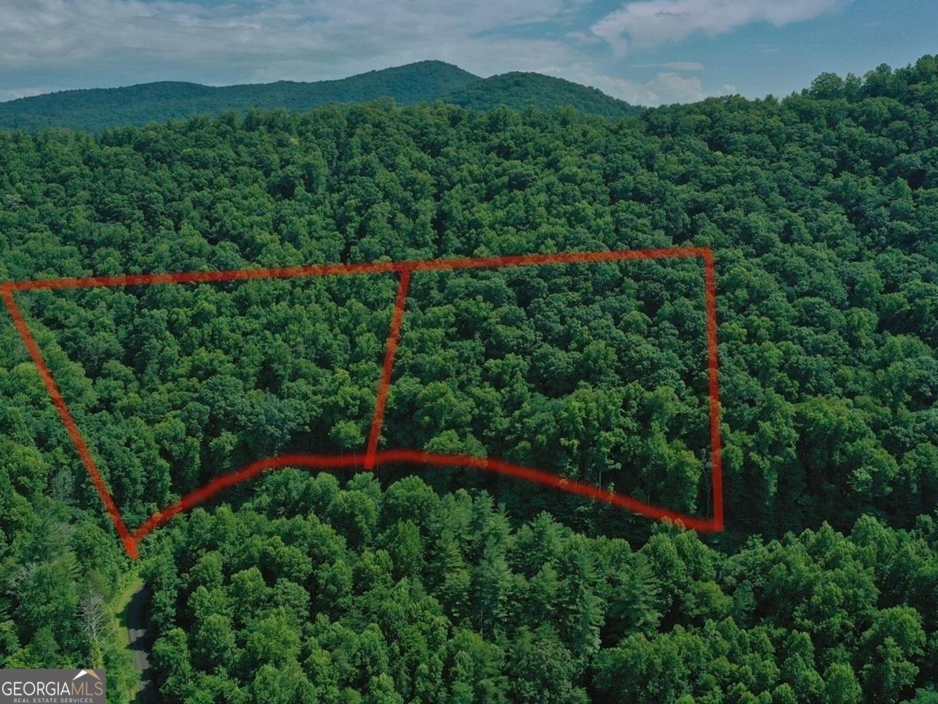 0 Shake Hollow Drive Rabun Gap, GA 30568 - Photo 4 of 5