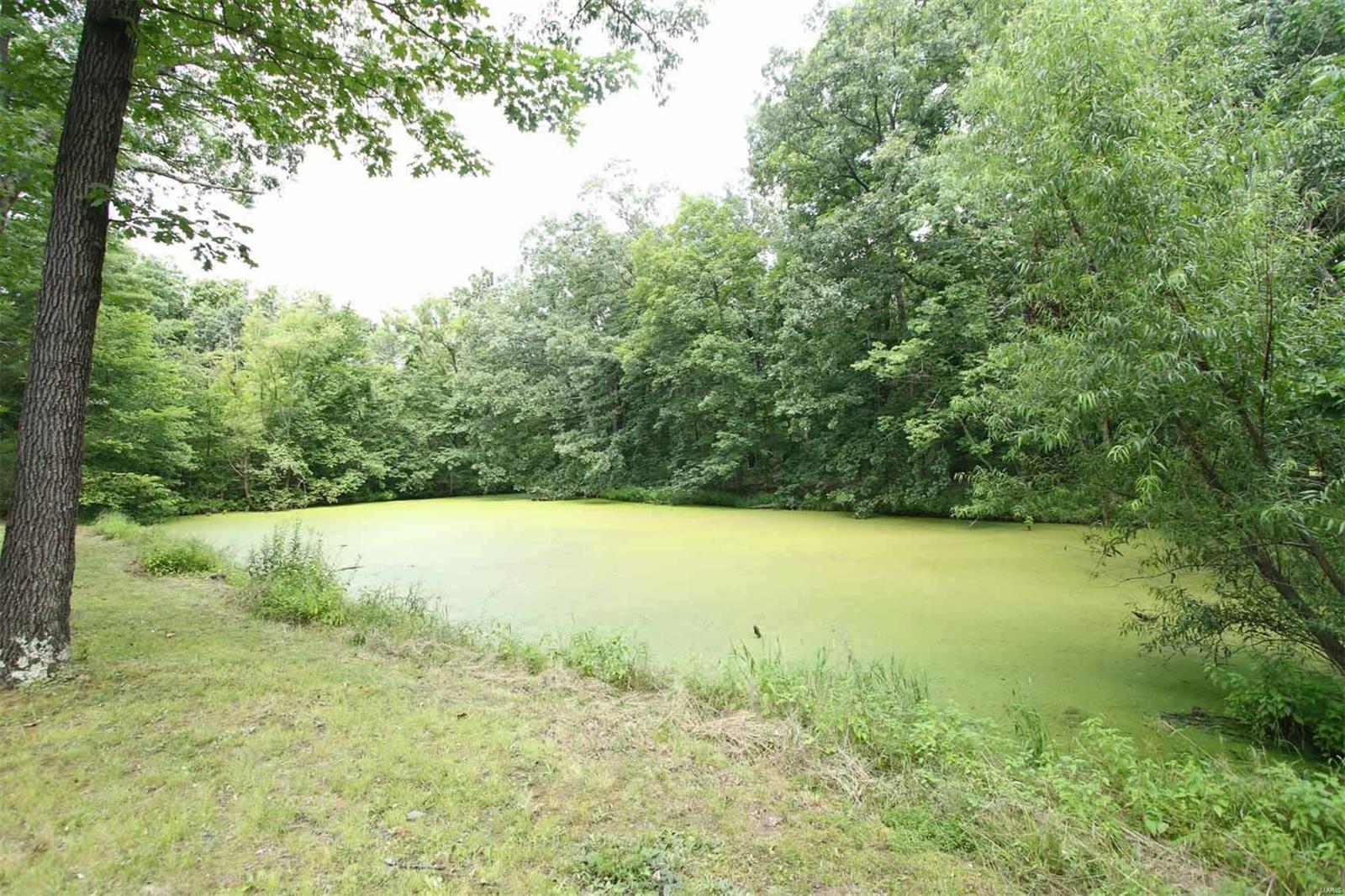 12827 Landolt Road Highland, IL 62249 - Photo 40 of 53