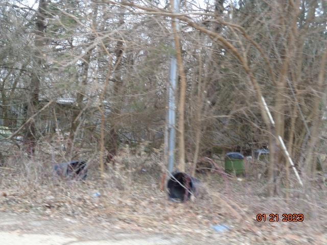 2190 North Everett Road Mount Morris, IL 61054 - Photo 3 of 10 a backyard of a house with lots of green space