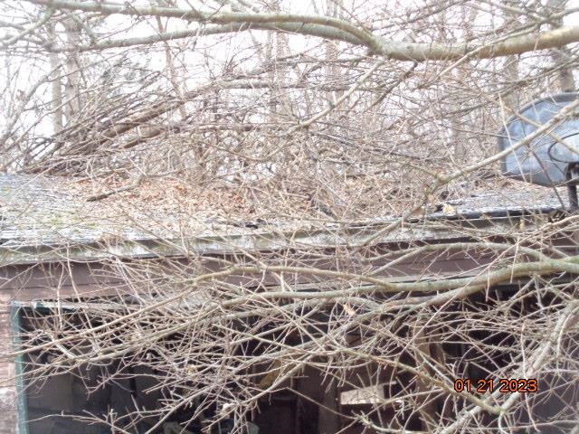 2190 North Everett Road Mount Morris, IL 61054 - Photo 6 of 10 a picture of street with yard