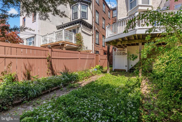a view of a street with plants and large trees next to it