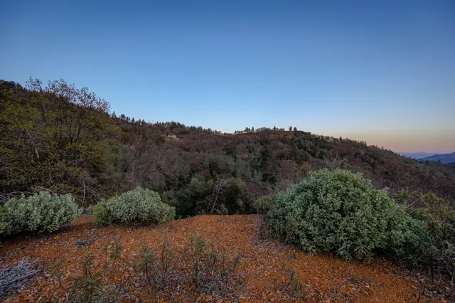 a view of a city with lush green forest