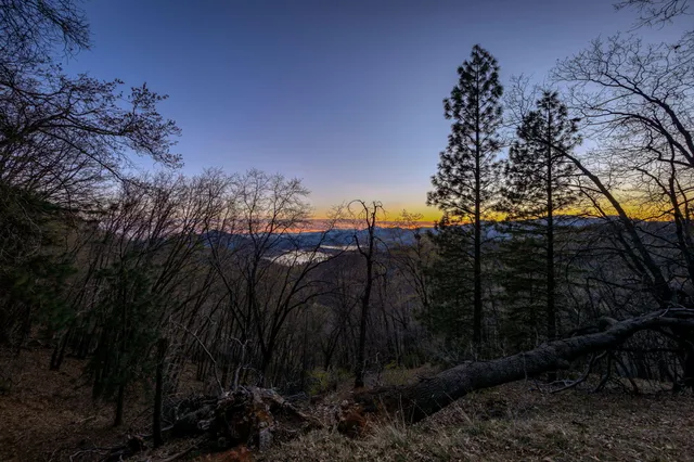 a view of a wrought iron fence