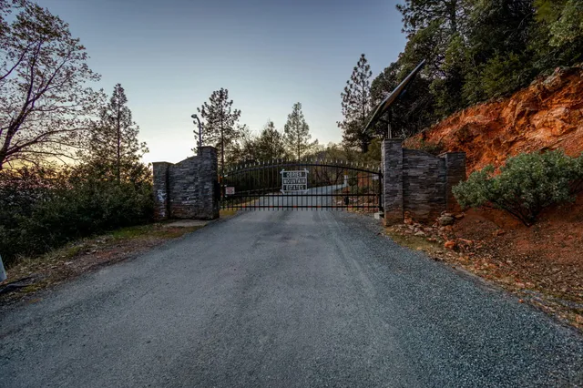 a view of a dry yard with trees