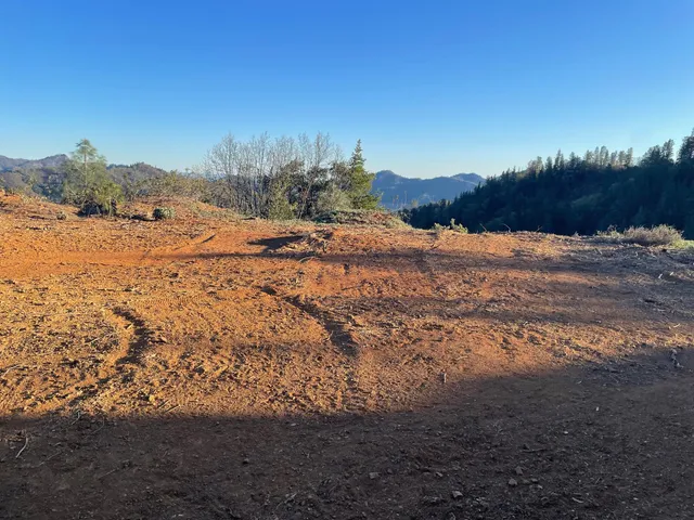 a view of a yard with a mountain in the background