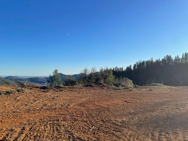 a view of a lot of trees and houses