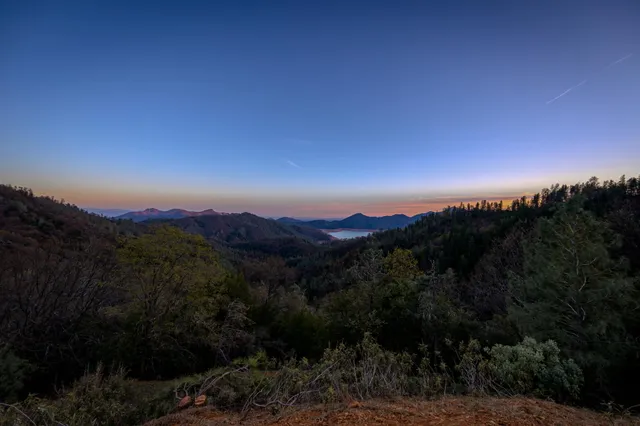 a view of a city with lush green forest